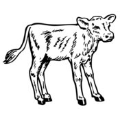 COW028