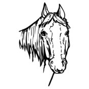 HORSE004